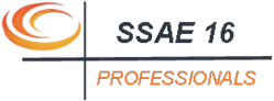 SSAE 16 Professionals - Delivering SSAE 16 Type I and SSAE 16 Type II Reports